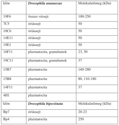 1. táblázat D. ananassae és D. bipectinata vérsejt-specifikus immunológiai markerek  klón   Drosophila ananassae  Molekulatömeg (kDa)  