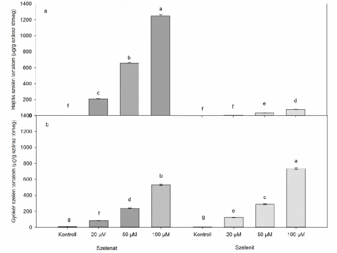 8. ábra Szelénkoncentrációk különböző szelénformákkal kezelt Brassica juncea szervekben 14 nap kezelési periódus  után