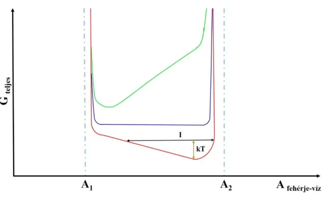 2. ábra Sematikus ábrázolása a teljes oldódási szabadenergiának a fehérje-víz határfelület felszínének  függvényében