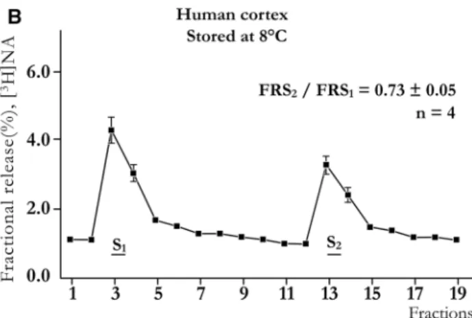 Fig. 6    The release of  [ 3 H]NA from human cortical slices that were  either freshly prepared immediately after the operation (a) or  pre-pared from tissue maintained at 8 °C for 20 h (b) under hypoxic  con-ditions