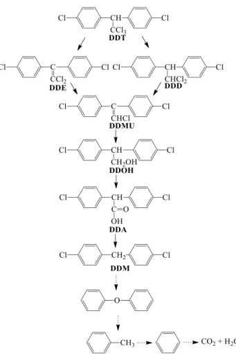 Fig. 10    Proposed DDT decomposition pathway using Cu–Fe/GO  catalyst