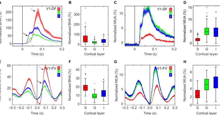 Fig. 2. Differential laminar distribution of BHA and MUA across experiments in V1. (A to D) present V1 data from recordings during diffuse flash stimulation (V1-DF; 