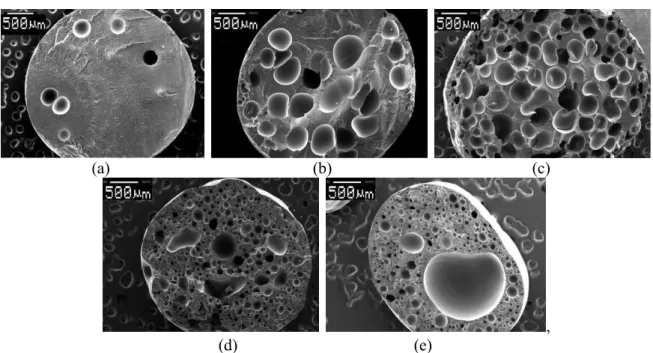 Figure 1. SEM images of PLA foams produced with a) 0.5 wt%, b) 1 wt%, c) 2 wt%, d) 4 wt%, e)  8 wt% exothermic chemical blowing agent at the same  manufacturing temperature (190 °C) ; 