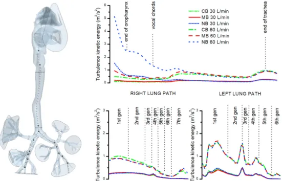 Fig. 8. The course of turbulence kinetic energy (TKE) along the centreline passing from oropharynx through the airway with the largest diameter in  the left and right lung down to 7th generation of branching for 30 and 60 L/min