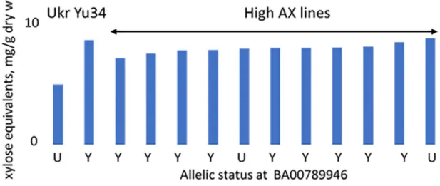 Fig 3. Contents of WE-AX in white flours and allelic status at the 1BL QTL determined using marker BA00789946