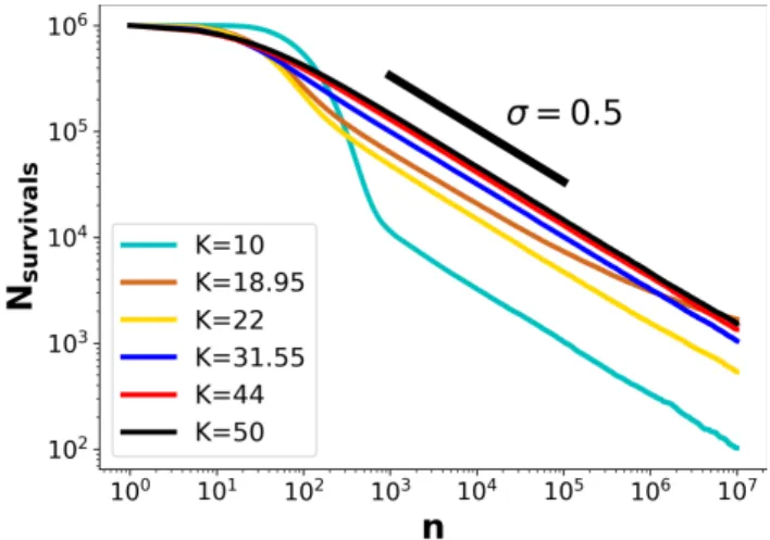 FIG. 7: For different K values the number of survived parti- parti-cles until n = 10 7 