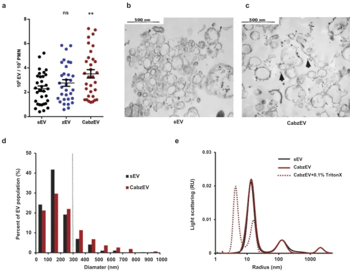 Figure 5. Characterization of murine PMN derived EVs. a. Quantification of EVs produced spontaneously (sEV) and after activation with non-opsonized (zEV) or completely (CabzEV) opsonized zymosan