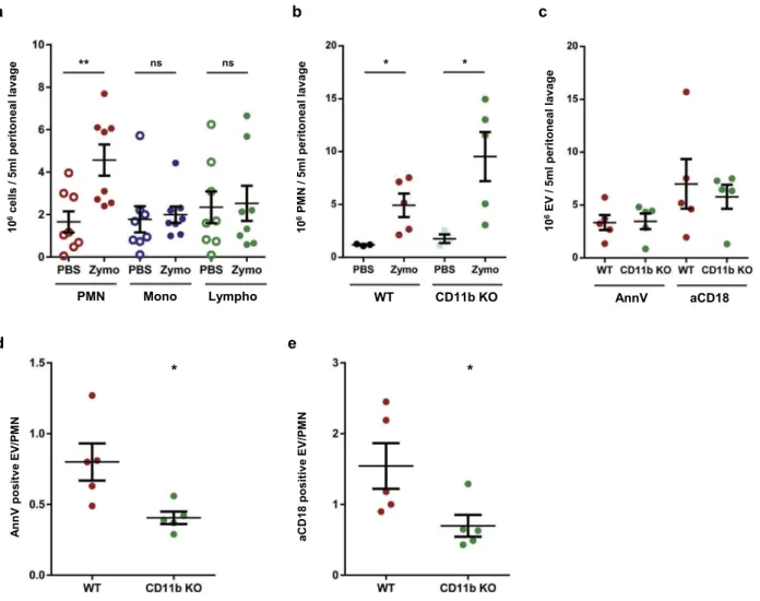 Figure 7. Mac-1/CR3 plays a crucial role in peritoneal EV production during zymosan induced peritonitis in mice