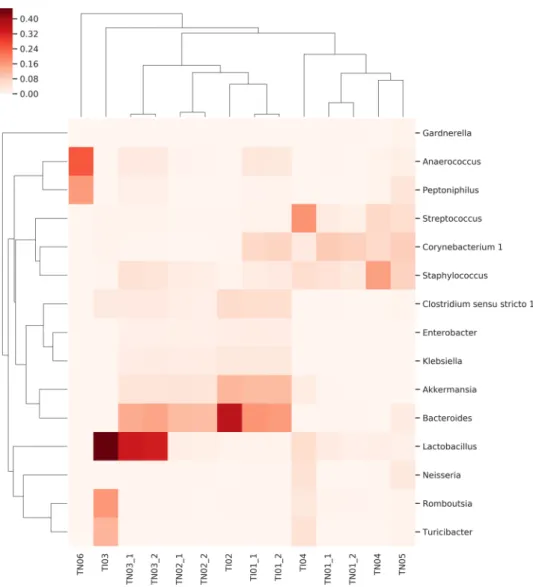 Figure 6.  Heat-map of the distribution of co-existing genera in cancer tissue samples obtained from NMIBC  (with TN designation) and MIBC (with TI designation) patients