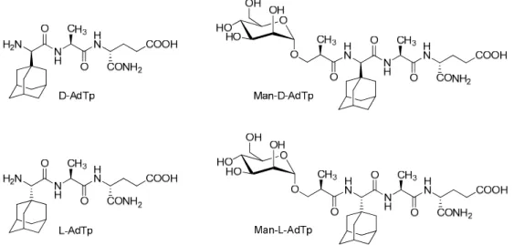 Figure 1. Chemical structures of investigated peptidoglycan (PGN) derivatives.  D- AdTp:  D -(adamant- -(adamant-1-yl)- Gly- L -Ala- D -isoGln,  L -AdTp:  L -(adamant-1-yl)-Gly -L -Ala- D -isoGln, Man- D -AdTp:  (2R)-N-[3-(α- D - mannopyranosyloxy)-2-methy