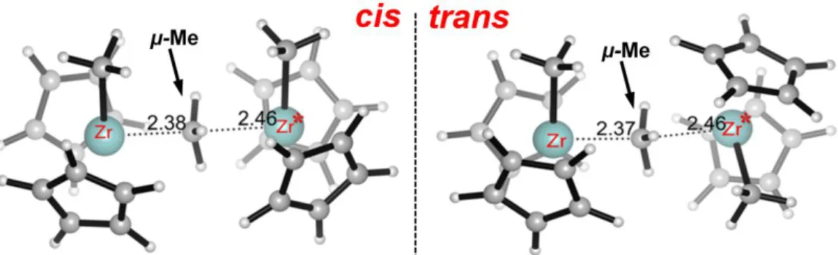 Figure 2. Possible cis/trans isomers of the dimeric complex [Cp 2 ZrMe 2 (μ-Me)] + . 