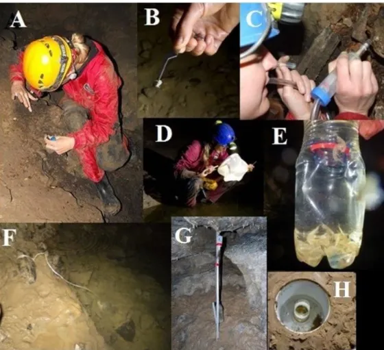 Figure  3:  Sampling  methods  applied  for  collecting  the  aquatic  and  terrestrial  cave-dwelling  macroinvertebrate fauna