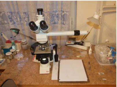 Figure 4: Leica DM 1000 light microscope with drawing tube used for morphological  analysis and for making of drawings