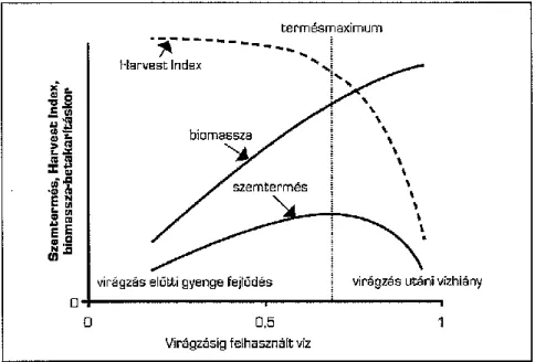 2. ábra: A szemtermés, a harvest index és a biomassza alakulásának összefüggése a  rendelkezésre álló víz mennyiségével (az Y-tengely skálája tetszőleges, forrás: Hoffmann és 