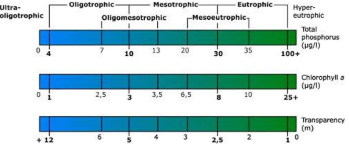 11. ábra: Tavi trofitási kategóriák a teljes foszforkészlet / klorofill-a / átlátszóság függvényében