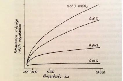 18. ábra: Fontinalis nemzetségbe tartozó vízi moha fotoszintézis intenzitásának függése a fényerősségtől  (különböző koncentrációjú hidrogén-karbonát forrás mellett) 