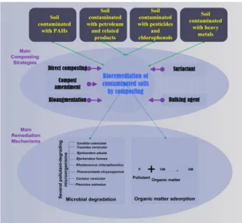 3. Figure: An overview of composting: contaminants, treating strategies and the mechanisms of remediation   (retrieved from [38]) 