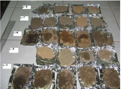 9. Figure: Vertical soil samples taken from the lysimeters of Gardermoen Airport research sites   (photo taken by: Mónika Horváthné Domonkos, 2010) 