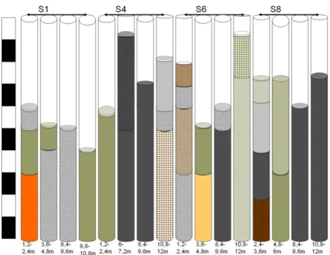 14. Figure: Visual separation of uniform layers by color and particle size of soil samples from the Trecate site   (created by Mónika Horváthné Domonkos, 2011) 
