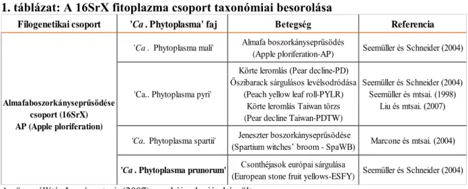 1. táblázat: A 16SrX fitoplazma csoport taxonómiai besorolása 