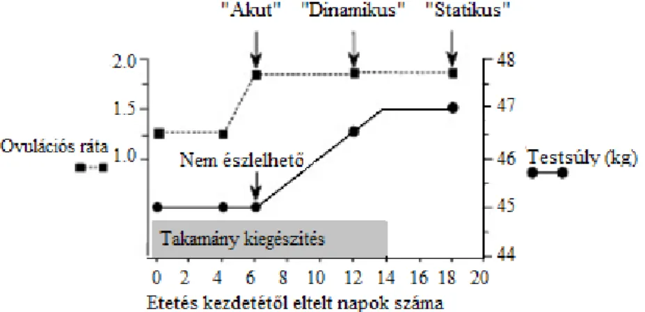 5. ábra: A takarmányozás „statikus”, „dinamikus” és „akut vagy azonnali” hatása az  ovulációs rátára (Scaramuzzi, 2006)