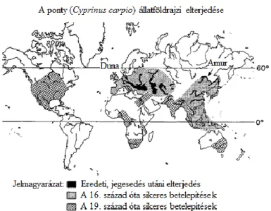 5. ábra: A ponty eredeti, jegesedés utáni elterjedése/ és sikeres terjesztése (Komen 1990a)