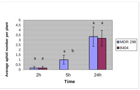 Figure 30. Rhopalosiphum padi alate settlement on two Triticum boeoticum varieties after 2, 5, and 24 hours