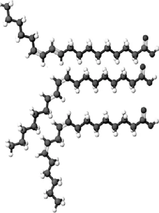 linolsav; 1. ábra). A kettős kötések különböző szerkezeti helyzetekben [7, 9], [8, 10],  [9,  11],  [10,  12],  [11,  13],  magukban  hordozzák  mind  a  cis-trans,  trans-cis  mind  pedig  a  cis-cis,  trans-trans  geometriai  izoméria  lehetőségét  (Ha  