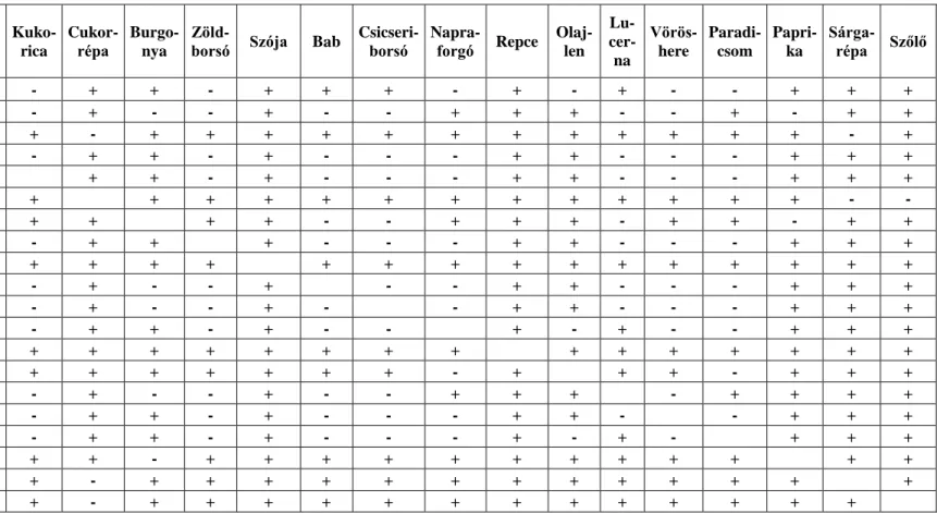 12. táblázat: A növények közötti statisztikailag igazolható eltérések a látható tartományban (SzD 5%) (+ = van különbség, - = nincs különbség) 