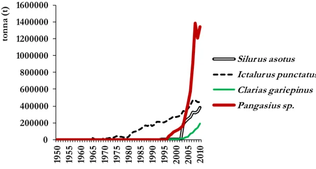 2. ábra: A négy jelentősebb harcsafaj termelési adatai 1950 és 2010 között. Forrás: 