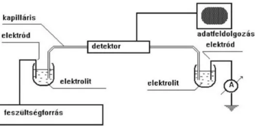 3. ábra: A kapilláris elektroforetikus készülék sematikus rajza 