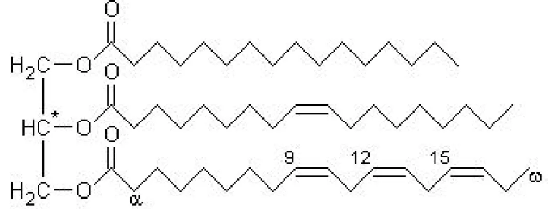 4. ábra. Triglicerid kémiai szerkezete  
