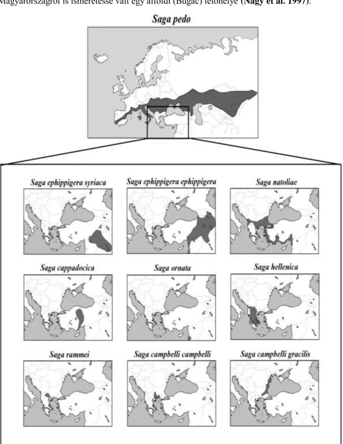 13. ábra: A dolgozatban szereplő fajok elterjedési térképe   (a szerző munkája Kaltenbach 1967 és Huang 1987 alapján) 