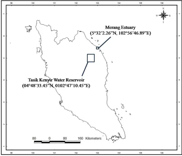 Figure 4: Locations of myxozoa (myxospores) sampling in Malaysia