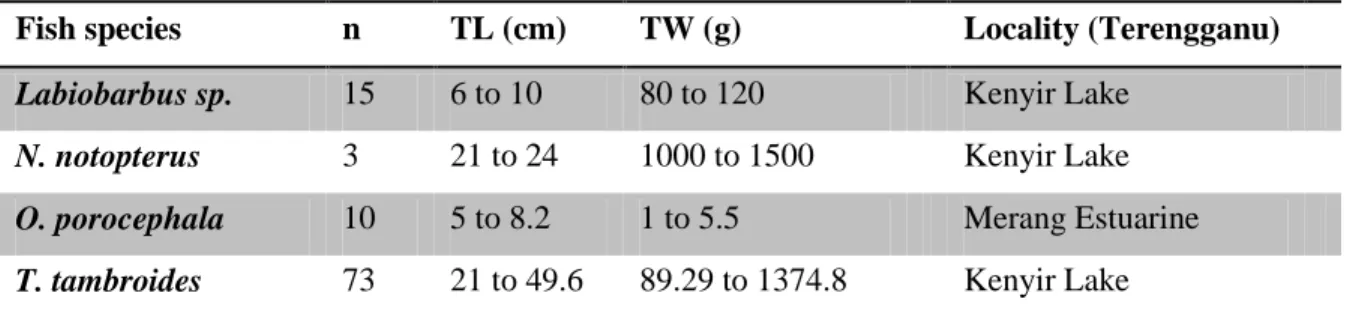 Table 4. Number, range of total length (TL) in centimeter and weight (TW) in gram, of examined fishes