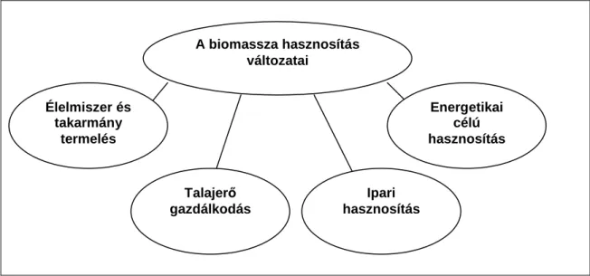 1. ábra: A biomassza-hasznosítás változatai  Forrás: Saját szerkesztés Bai et al., 2002 adatai alapján 