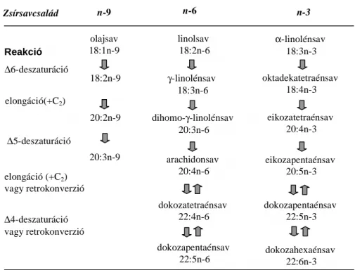 reakciók során, amelyeket a 2. ábra szemléltet (Sprecher, 1981).   