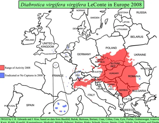 7. ábra: A kukoricabogár Európában 2007 (Forrás: http://www.entm.purdue.edu/wcr/) 