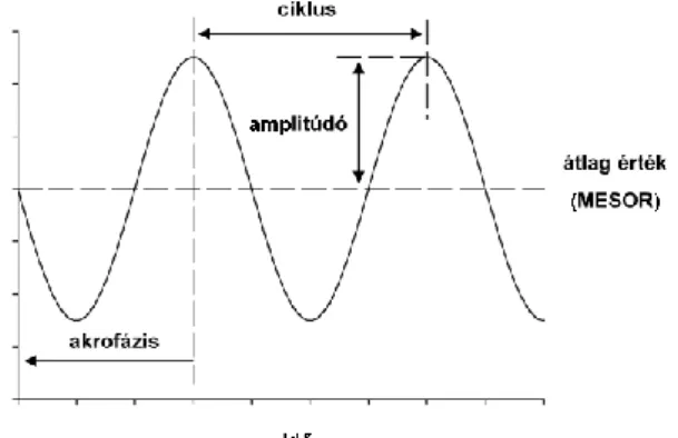 14. ábra: Amplitúdó és akrofázis meghatározása. 