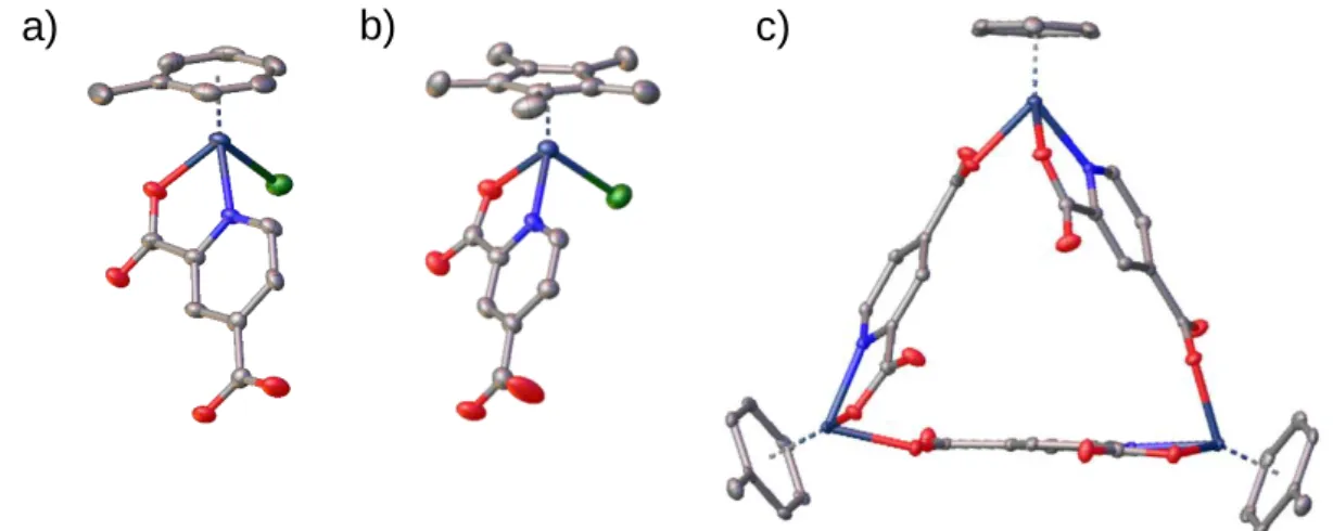 18. ábra: a) A [Ru(Tol)(2,4-dipicH)Cl]×3 H 2 O, b) a [Rh(C 5 Me 5 )(2,4-dipicH)Cl]×3 H 2 O és c) a  [Ru(Tol)(2,4-dipic)] 3 ×7  H 2 O  komplexek  egykristály  röntgendiffrakciós  módszerrel  meghatározott  szerkezete