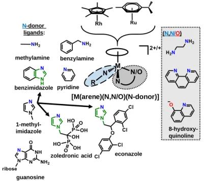 Figure  2:  Chemical  structures  and  names  of  the  monodentate  and  bidentate  ligands  and  organometallic fragments of the studied complexes