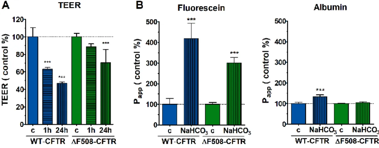 Figure  8.  Effect  of  100 mM  NaHCO 3   on  barrier  integrity  of  CFBE  cells  grown  in  co-culture