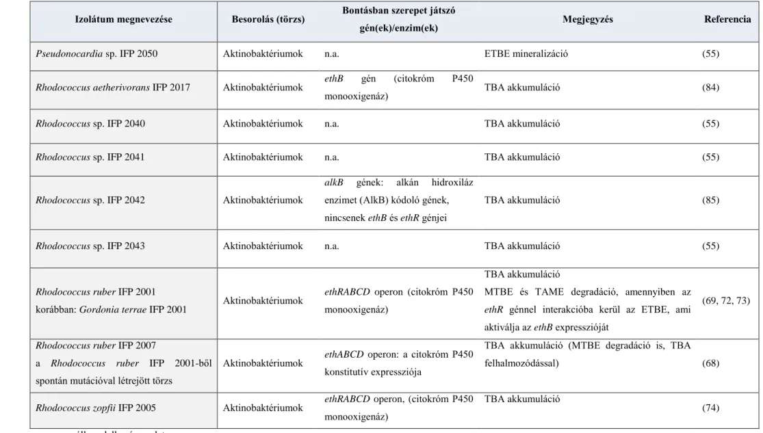 2. táblázat (folytatás): Az ETBE aerob lebontásában szerepet játszó törzsek és gének/enzimek II