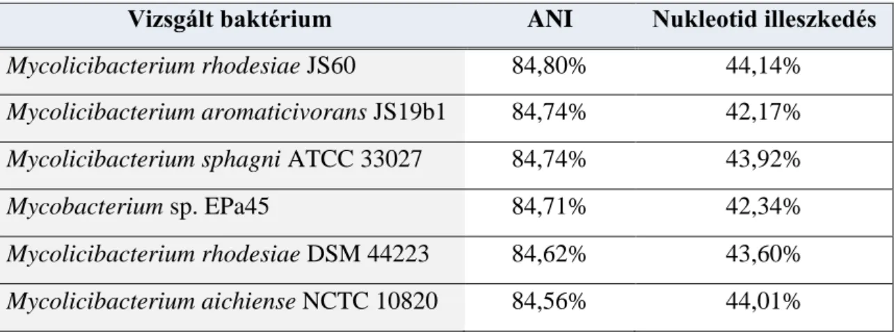 7. táblázat: A Mycolicibacterium sp. CH28 tetranukleotid-összetételen alapuló összehasonlítása a közeli  rokon mikobaktérium törzsekkel 