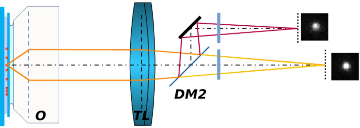 2.8. ábra. A detektor karban egy dikroikus tükörrel (DM2) és további emissziós szűrőkkel a detektált emissziós jel két részre bontódik