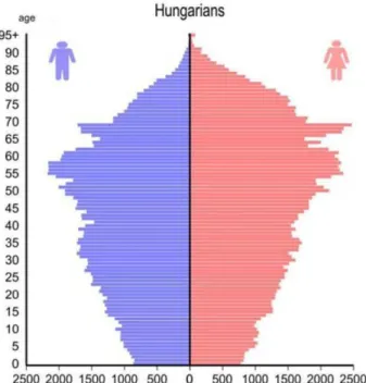 4. ábra: A Szerbiában élő magyar nemzetiségűek korfája, 2011 