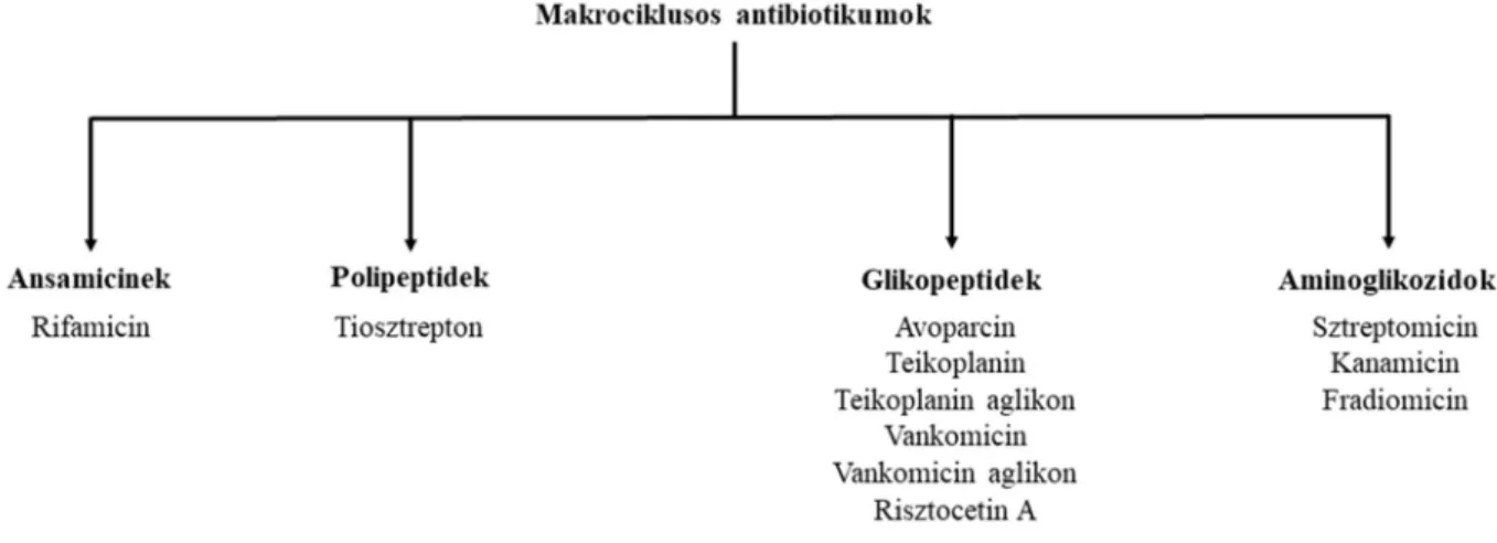 4. ábra A makrociklusos antibiotikumok csoportosítása [22] 