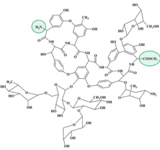 7. ábra A risztocetin A molekula szerkezeti képlete 