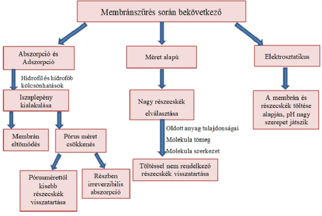 1. ábra A membránszűrés alapelvei (Padaki és mtsai., 2015) 