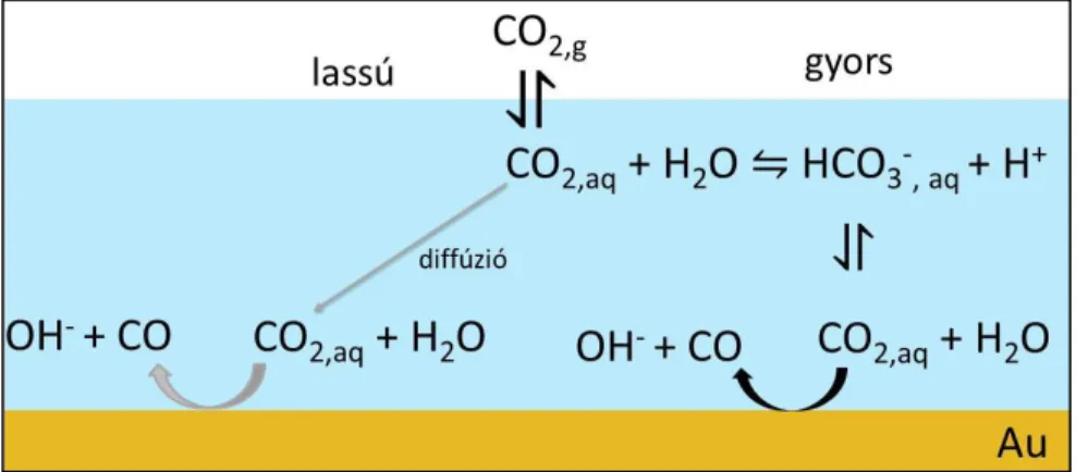 11. ábra: A CO 2  transzportja az elektródfelülethez diffúzióval és a hidrogén-karbonát ionok által  közvetítve.